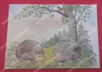 DDR Werner Klemke Postkarte Igelpärchen DDR Werner Klemke Postkarte Igelpärchen