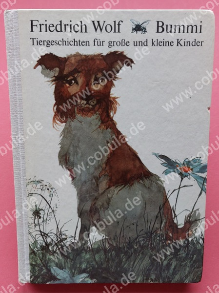 Bummi Tiergeschichten für grosse und kleine Kinder (ab 10 Jahre)