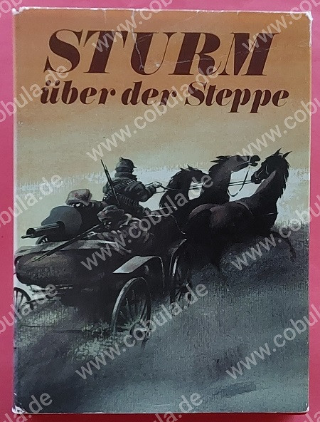 Sturm über der Steppe