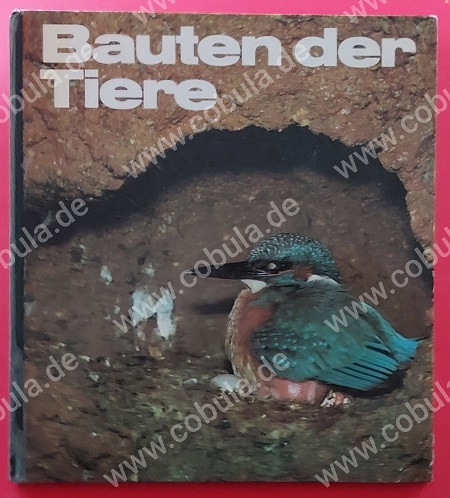 Bauten der Tiere (ab 9 Jahre)