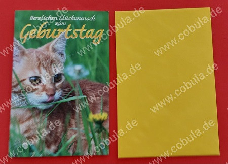 Glückwunschkarte Herzlichen Glückwunsch zum Geburtstag Motiv Katze