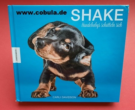 Shake Hundebabys schütteln sich