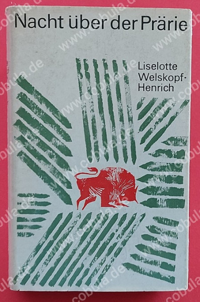 Nacht über der Prärie