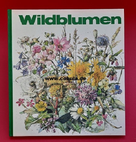 Wildblumen (ab 9 Jahre)