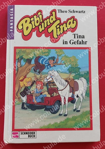 Bibi und Tina Tina in Gefahr