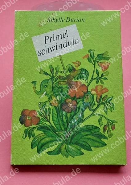 Primel schwindula (ab 10 Jahre)