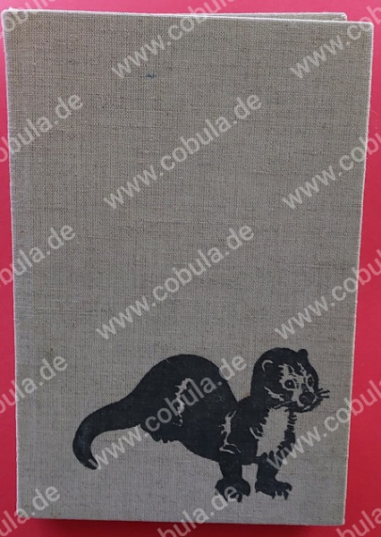 Lutra Die Geschichte eines Fischotters