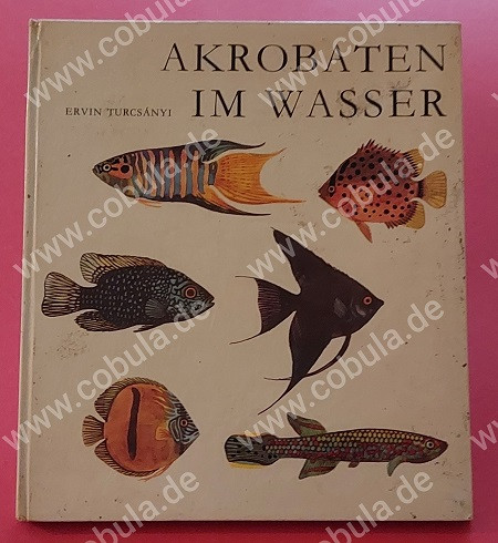 Akrobaten im Wasser (ab 8 Jahre)