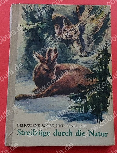 Streifzüge durch die Natur