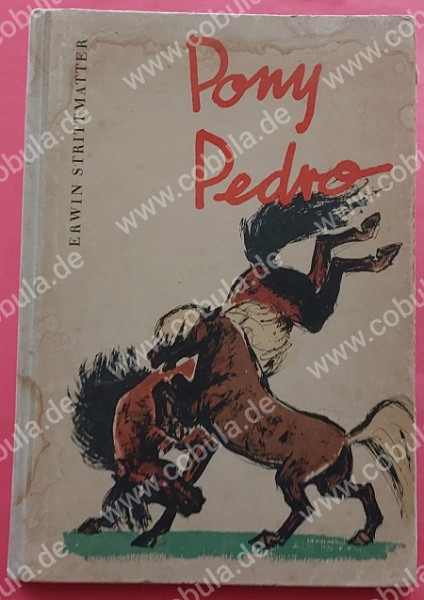 Pony Pedro (ab 13 Jahre)