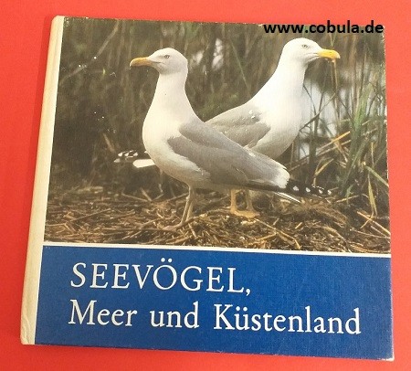 Seevögel, Meer und Küstenland